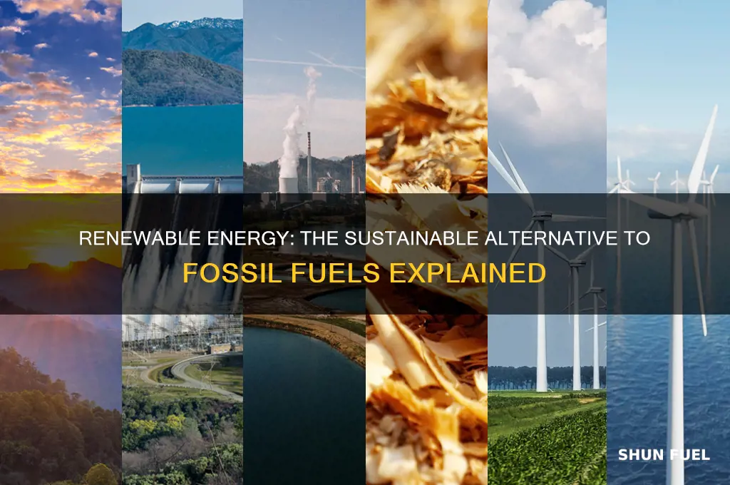 what is the opposite of a fossil fuel