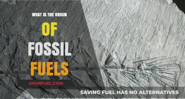 Uncovering the Ancient Origins of Fossil Fuels: A Historical Journey