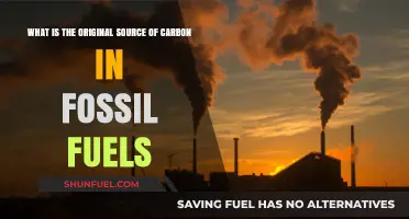 Uncovering the Ancient Origins of Carbon in Fossil Fuels