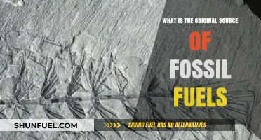 Uncovering the Ancient Origins of Fossil Fuels: A Comprehensive Exploration