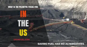 America's Most Abundant Fossil Fuel: Unveiling the Dominant Energy Source