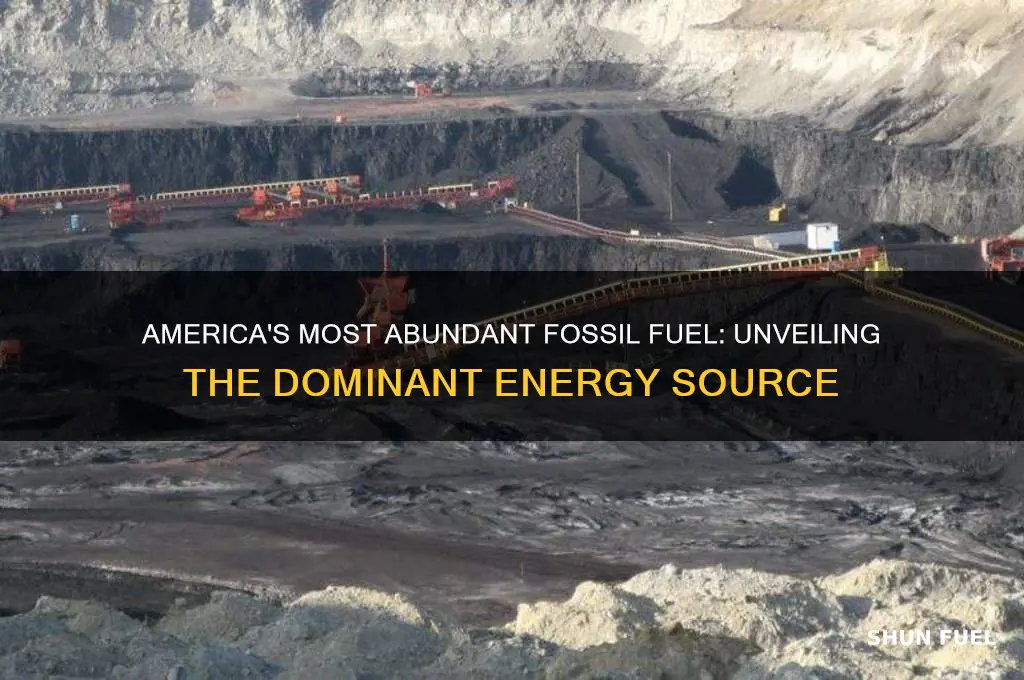 what is the pelentful fossil fuel in the us