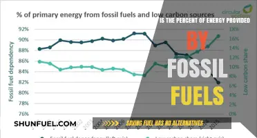 Fossil Fuels Dominance: Current Energy Contribution Percentage Revealed