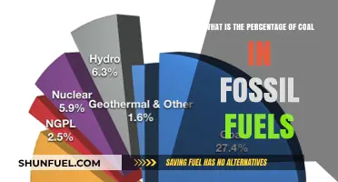 Coal's Role in Fossil Fuels: Understanding Its Percentage Contribution