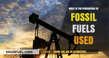 Understanding Fossil Fuels: Global Usage Percentage and Energy Dependency