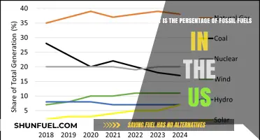 Fossil Fuels Dominance: US Energy Mix Percentage Revealed