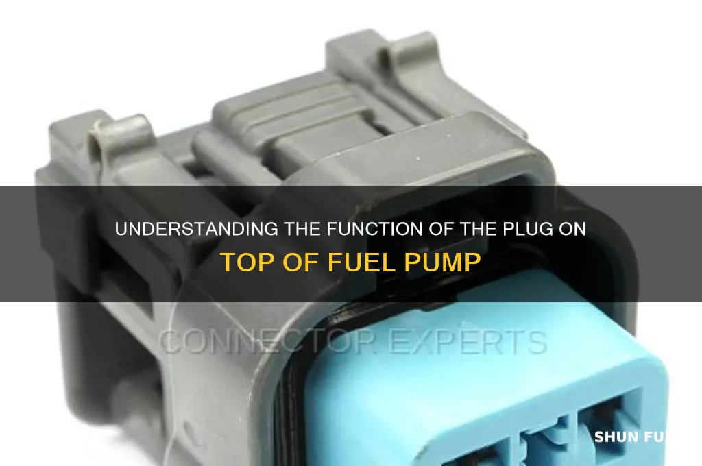what is the plug on top of fuel pump