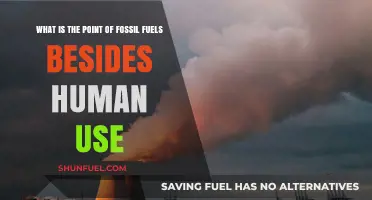 Beyond Human Consumption: The Unexpected Roles of Fossil Fuels