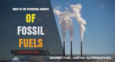 Fossil Fuels' Future: Exploring Potential Growth Amid Energy Transition