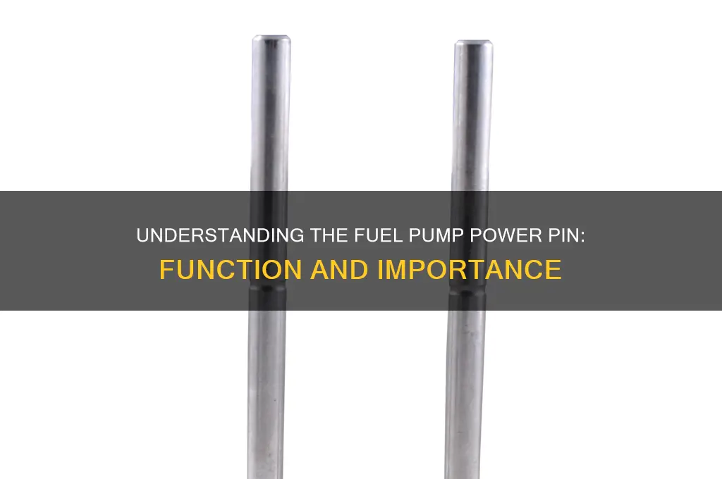what is the power pin on a fuel pump