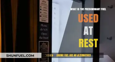 Understanding the Primary Fuel Source Utilized by the Body at Rest