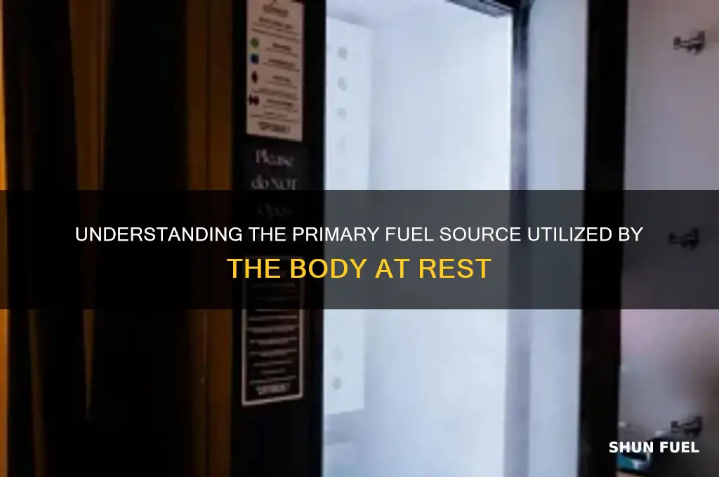 what is the predominant fuel used at rest