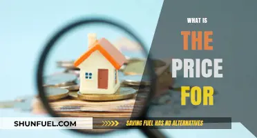 Understanding the True Cost: What Is the Price For?