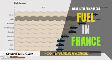 The Cost of Car Fuel in France
