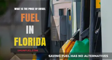 Florida Diesel Fuel Prices: Cost Analysis