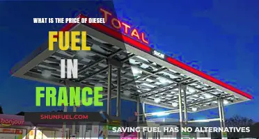 The High Cost of Diesel Fuel in France