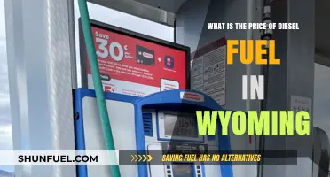 Wyoming's Diesel Fuel Price: How Much Does it Cost?