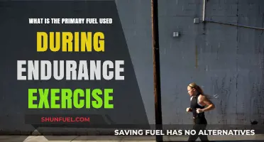 Endurance Exercise Fuel: Understanding the Primary Energy Source for Longevity