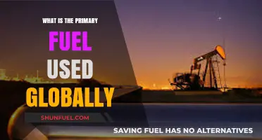 Global Energy Dominance: The Primary Fuel Powering Our World Today