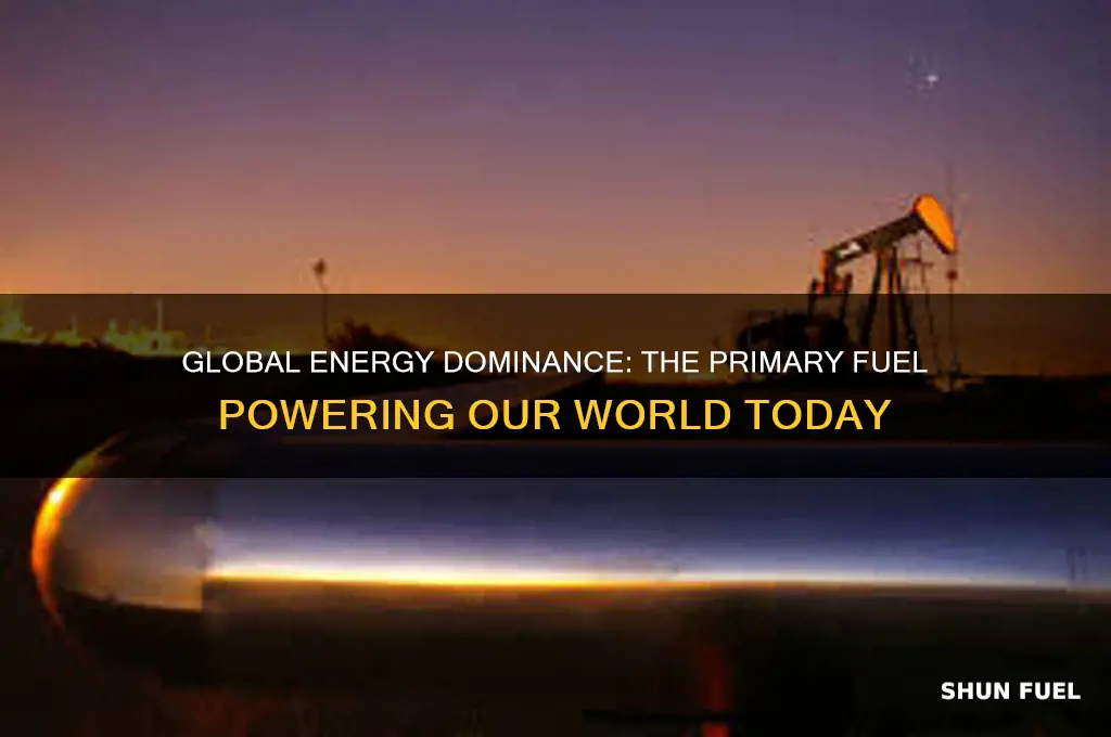 what is the primary fuel used globally