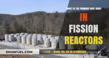 Understanding Fission Reactors: The Primary Fuel Source Explained
