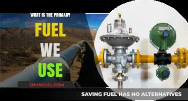 Understanding Our Primary Fuel Source: Powering the Modern World