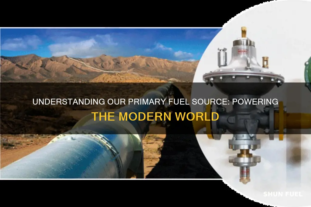 what is the primary fuel we use