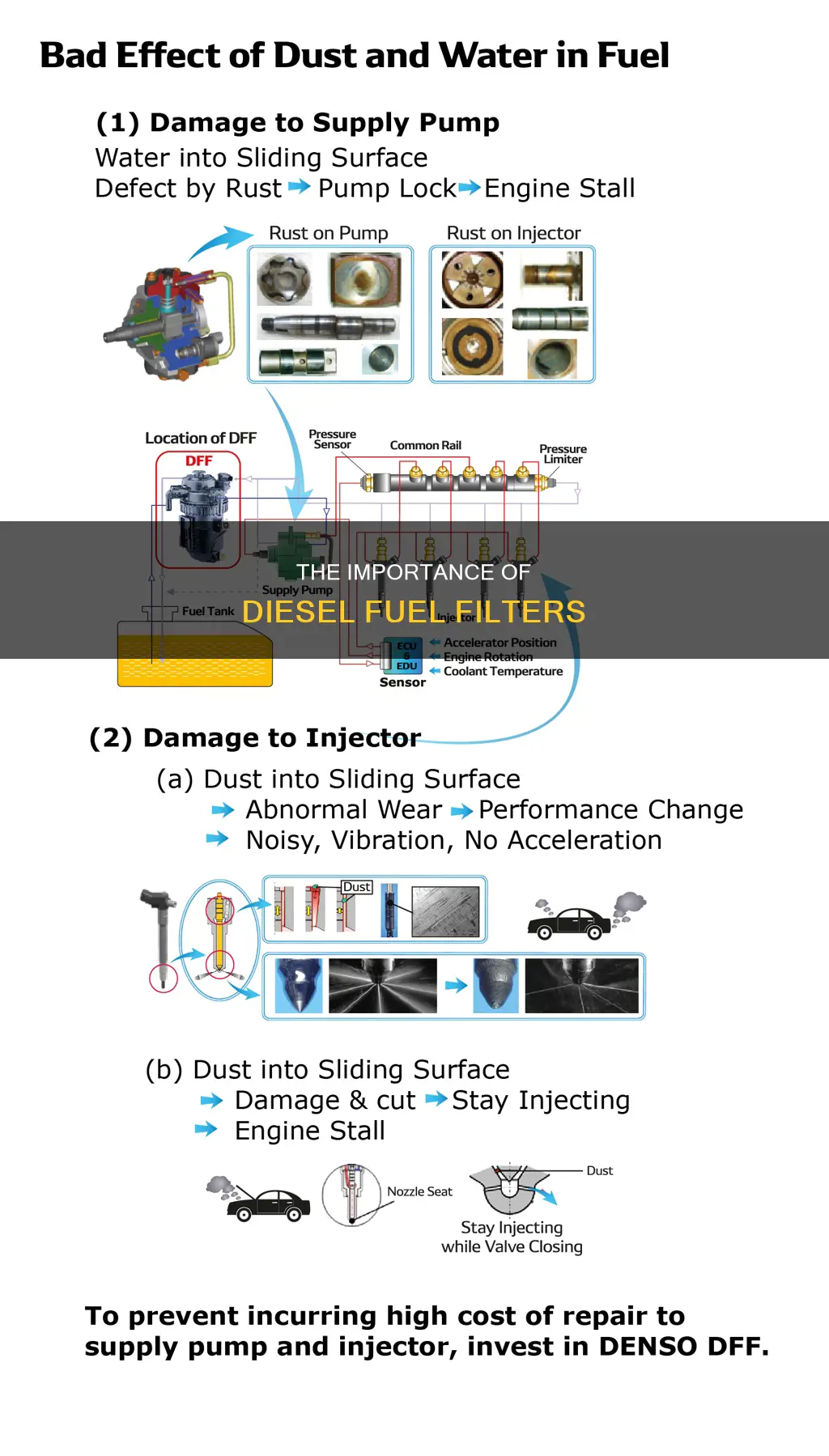 what is the primary purpose of a diesel fuel filter