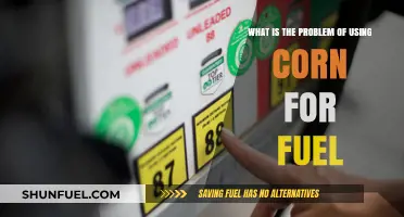 Corn for Fuel: Environmental and Economic Challenges Explained