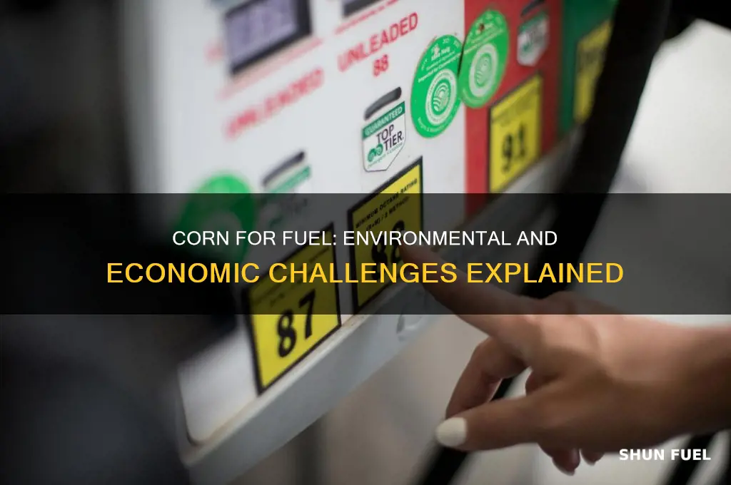 what is the problem of using corn for fuel