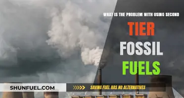 The Hidden Dangers of Relying on Second-Tier Fossil Fuels