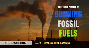 Understanding the Process of Burning Fossil Fuels: A Comprehensive Guide