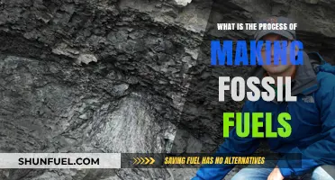 How Fossil Fuels Are Formed: A Step-by-Step Geological Journey