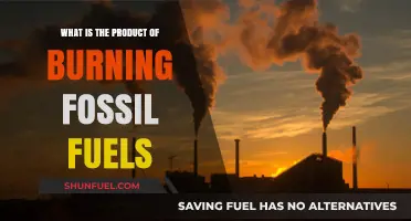 Burning Fossil Fuels: Unveiling the Environmental Impact and Byproducts