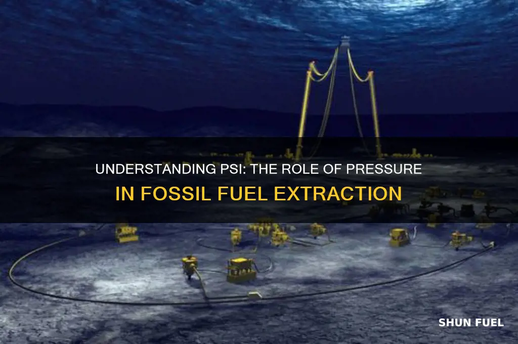 what is the psi in fossil fuels