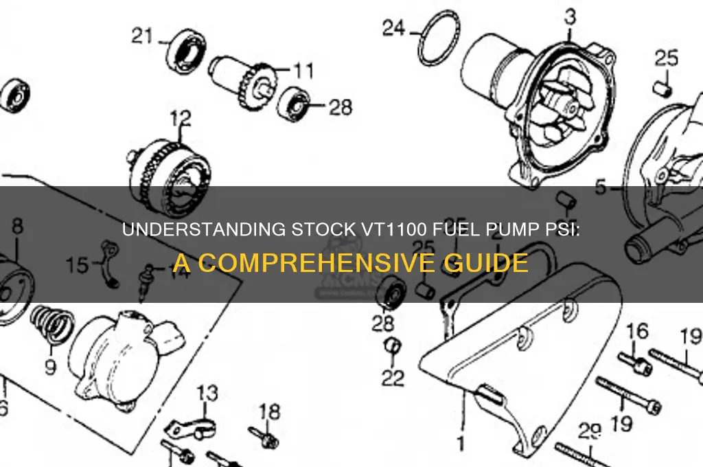 what is the psi on a stock vt1100 fuel pump