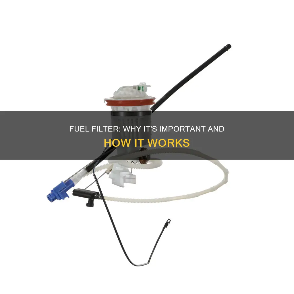 what is the purpose of fuel filter