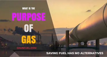 Exploring the Multifaceted Role of Gas in Our Daily Lives