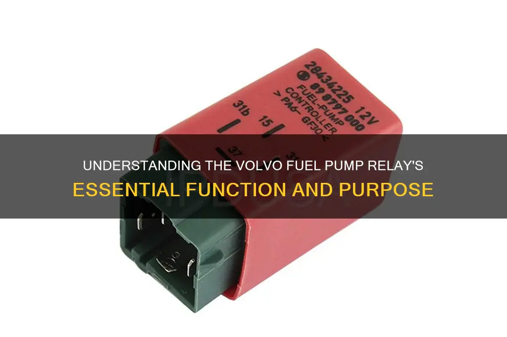 what is the purpose of volvo fuel pump relay