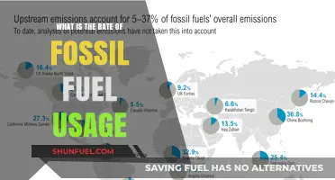 Global Fossil Fuel Consumption: Current Rates and Environmental Impact
