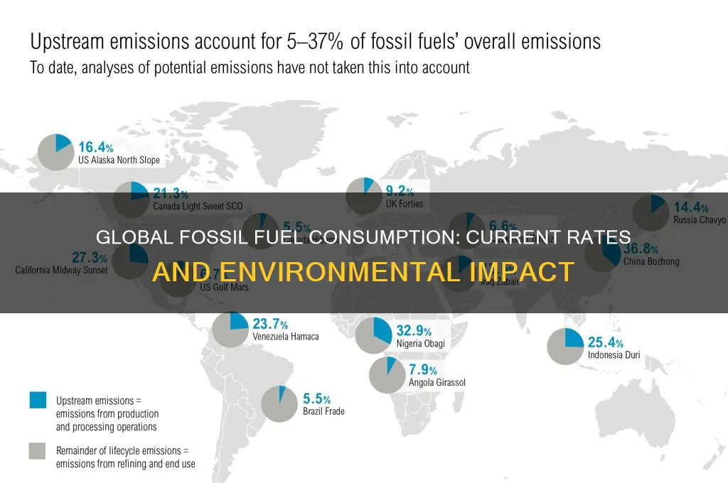 what is the rate of fossil fuel usage
