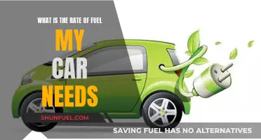 Fuel Efficiency: Understanding Your Car's Appetite