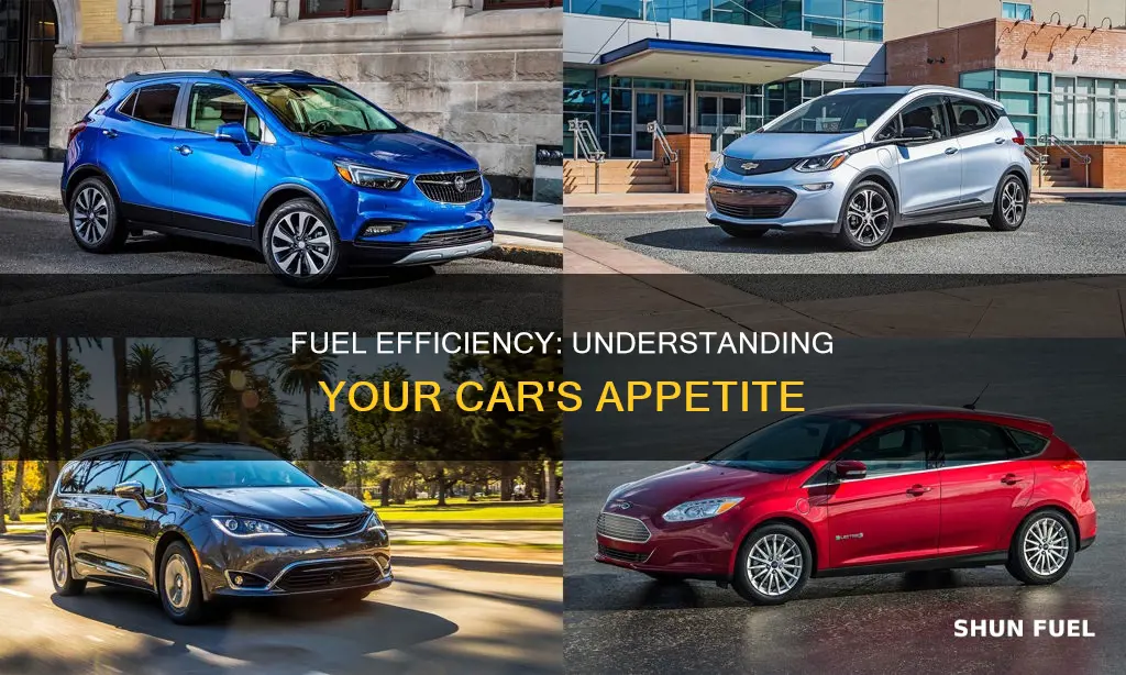 what is the rate of fuel my car needs