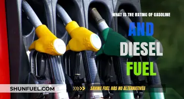 Gasoline and Diesel: How Do They Compare?