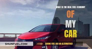 Fuel Efficiency: Your Car's Real Economy