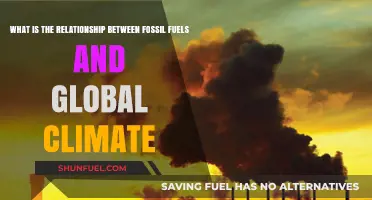 Fossil Fuels and Climate Change: Unraveling the Global Connection