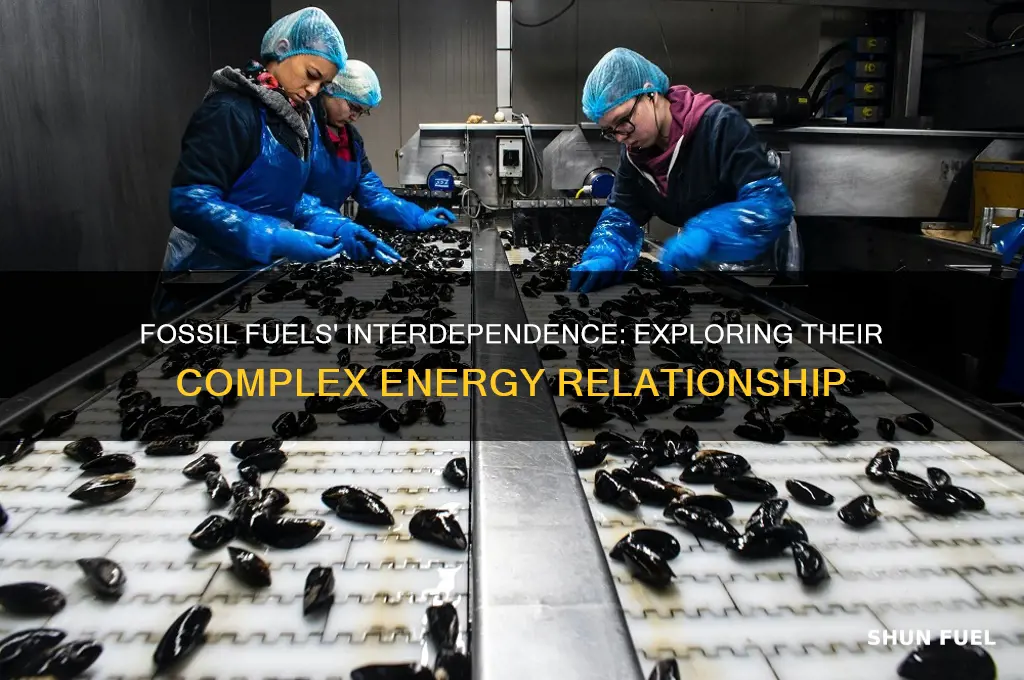 what is the relationship between fossil fuels