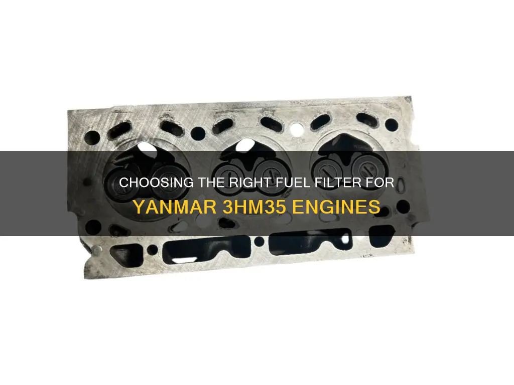 what is the right fuel filter for a yanmar 3hm35