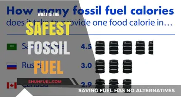 Exploring the Safest Fossil Fuel: A Comprehensive Analysis and Comparison