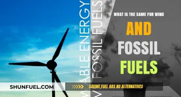Wind and Fossil Fuels: Shared Traits in Energy Production